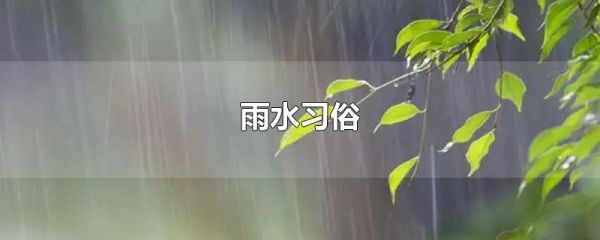 雨水习俗