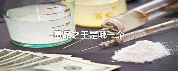 毒品之王是哪一个