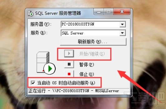 SQL Server打开服务管理器的方法