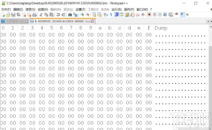 notepad++打开查看二进制文件的方法