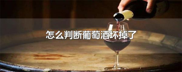 怎么判断葡萄酒坏掉了