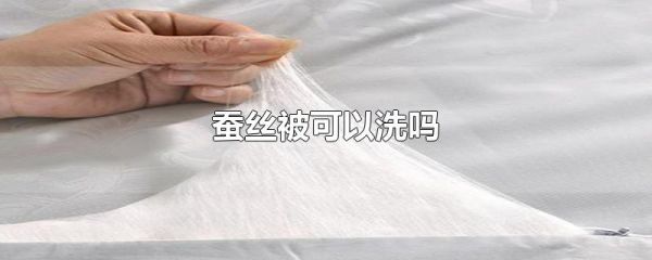 蚕丝被可以洗吗