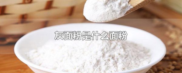 灰面粉是什么面粉