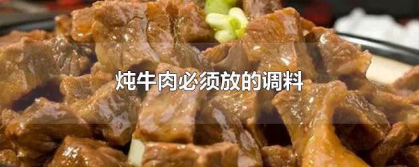 炖牛肉必须放的调料