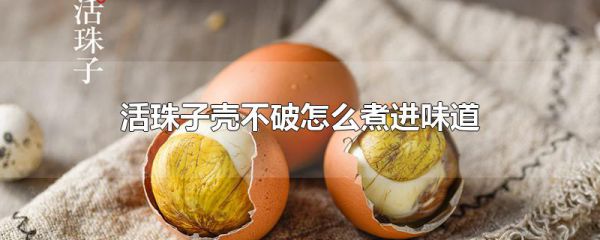 活珠子壳不破怎么煮进味道