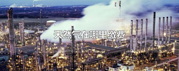 天然气在哪里缴费