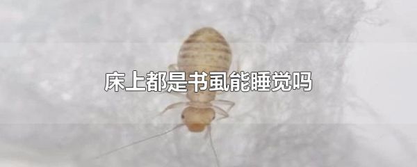 床上都是书虱能睡觉吗