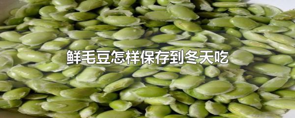 鲜毛豆怎样保存到冬天吃