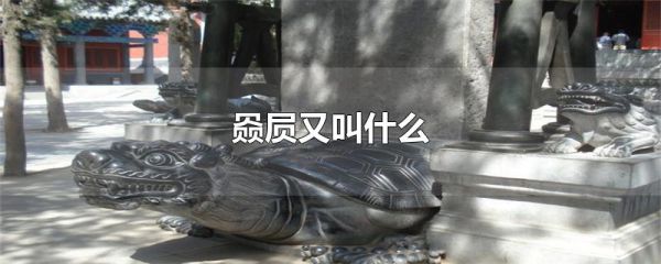 赑屃又叫什么