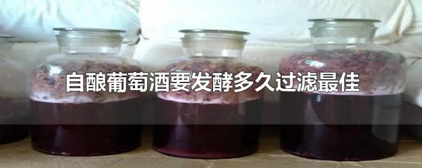自酿葡萄酒要发酵多久过滤最佳