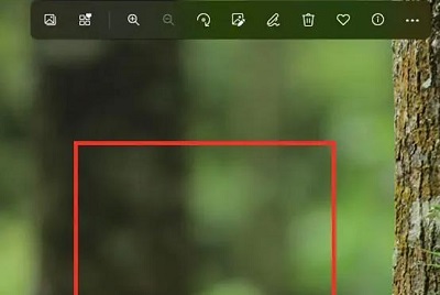 win11怎么压缩照片大小