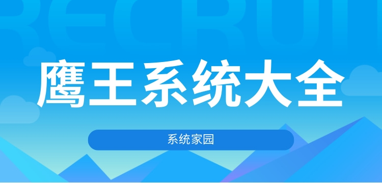 鹰王系统下载大全