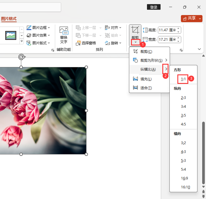 PPT图片如何裁剪成正方1：1效果