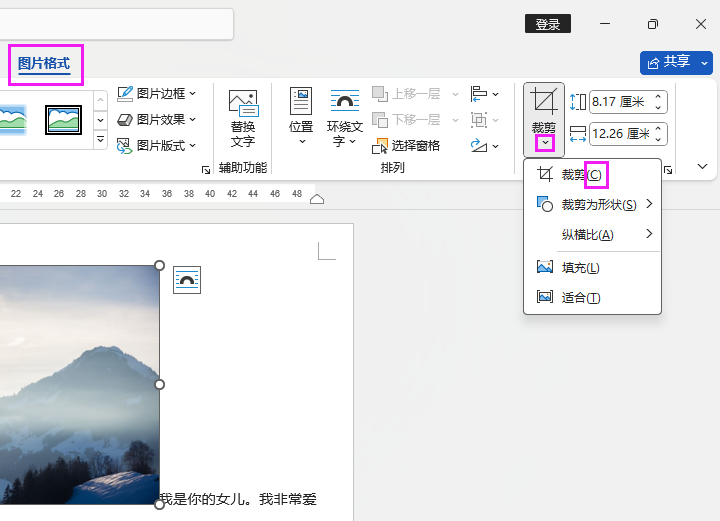 word剪裁图片的快捷键