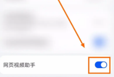 花瓣浏览器网页视频助手如何开启