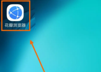 花瓣浏览器网页视频助手如何开启