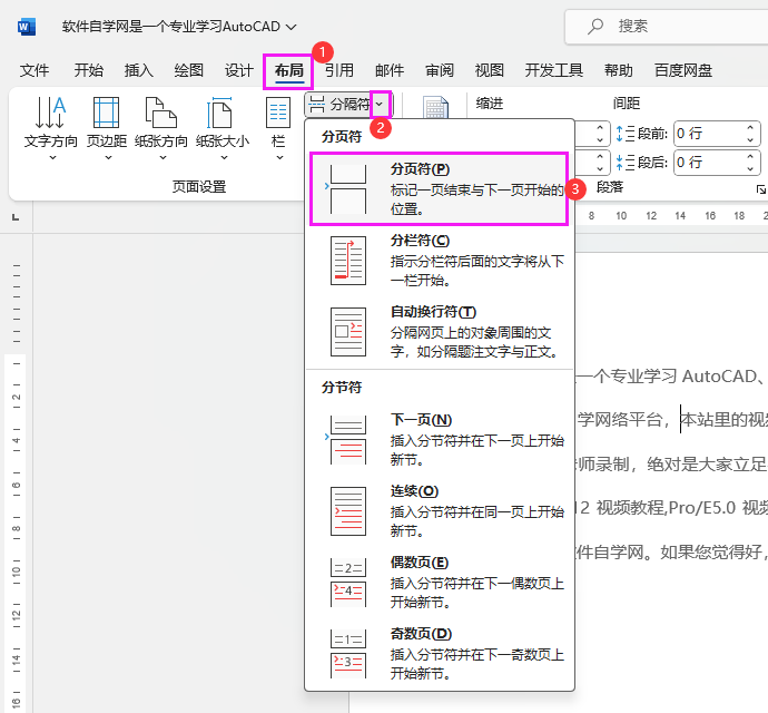 WORD如何插入分页符