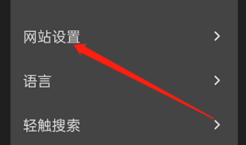 狐猴浏览器后台同步功能怎么使用