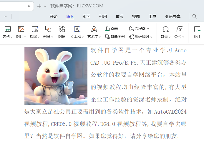 WPS图片如何设置水平翻转效果