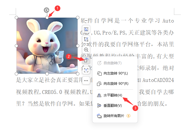 WPS图片如何设置水平翻转效果