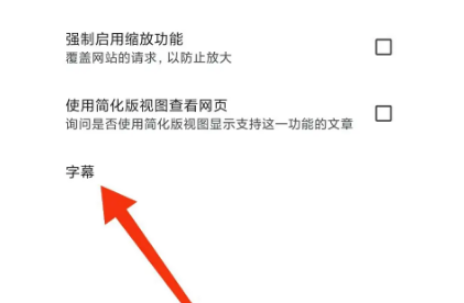 星愿浏览器如何显示字幕