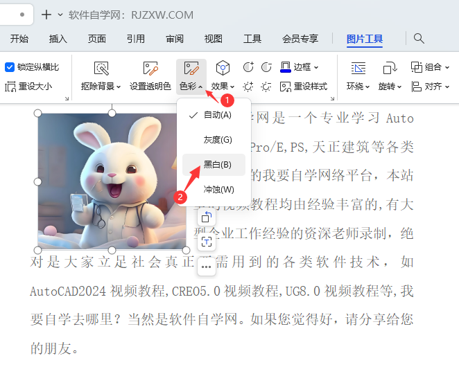 wps如何将图片变为黑白的方法