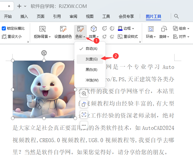 WPS里面的照片怎么转灰度效果