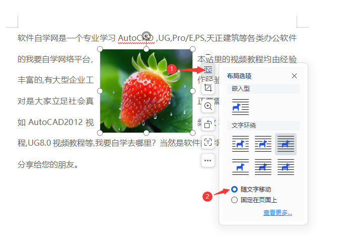 wps图片随文字移动怎样设置