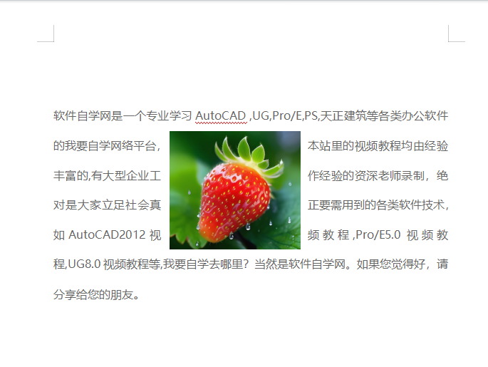 wps图片随文字移动怎样设置