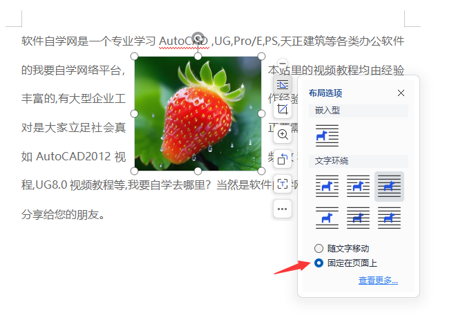 wps移动文字图片怎么固定不变