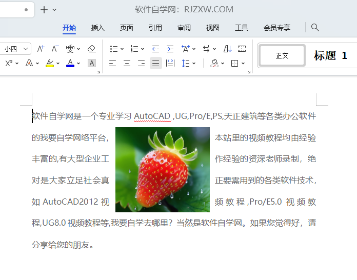 wps移动文字图片怎么固定不变