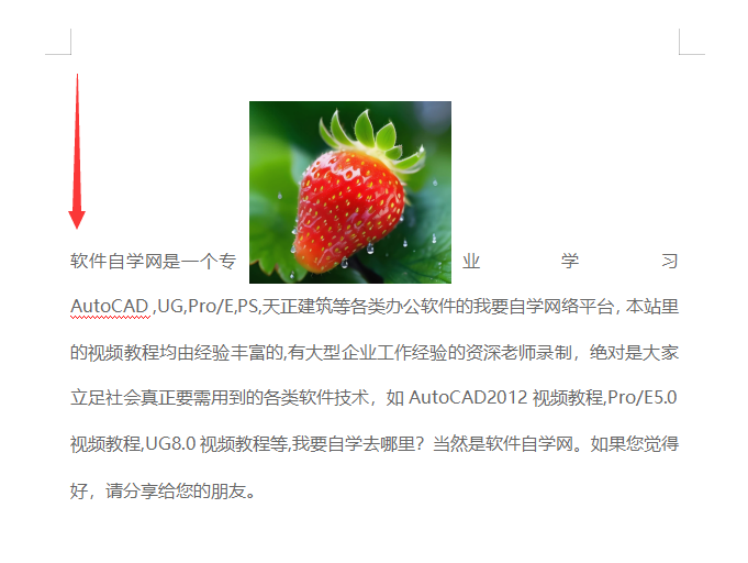 wps移动文字图片怎么固定不变