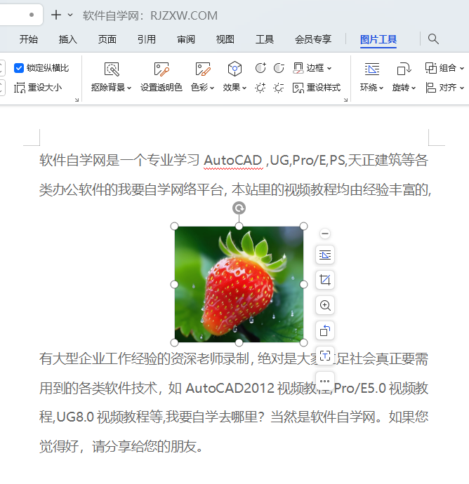 wps上下型环绕怎么设置