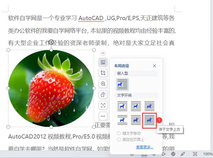 WPS怎么把图片设置在文本的上方