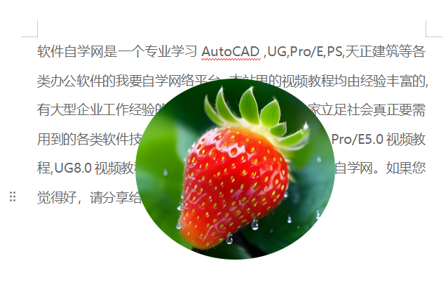 WPS怎么把图片设置在文本的上方