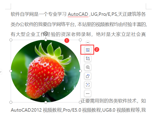 WPS怎么把图片设置在文本的上方