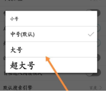 私密浏览器如何设置字体大小