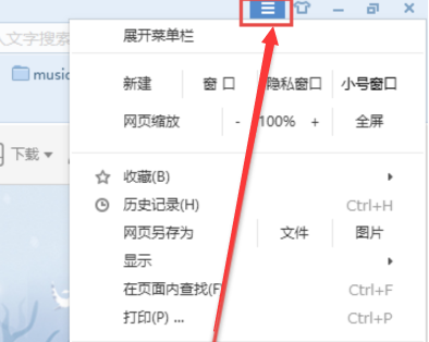 小智双核浏览器flash功能怎么使用
