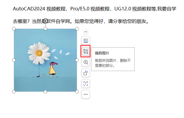 WPS文字怎么设置圆角矩形图片