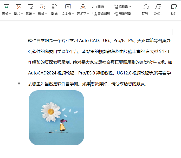 WPS文字怎么设置圆角矩形图片