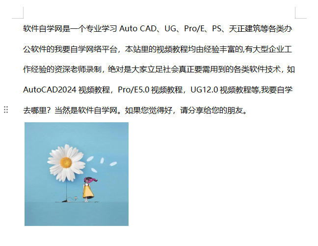 WPS文字怎么设置圆角矩形图片