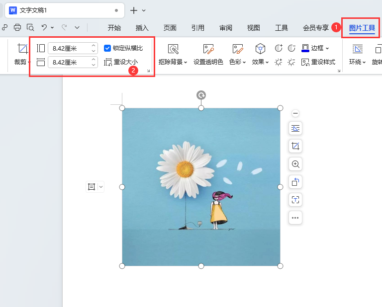 WPS如何调整图片大小