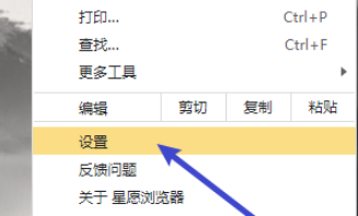 星愿浏览器下载按钮怎么显示