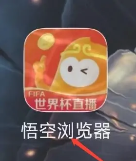 悟空浏览器多窗口功能在哪