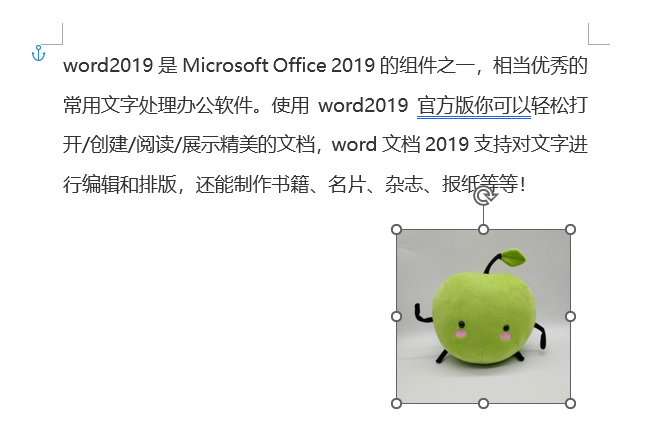 Word文档图片怎么自由移动？