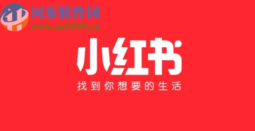 小红书APP开启青少年模式的方法