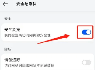 花瓣浏览器怎么开启安全模式