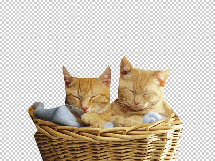 PS抠出篮子里的两只小猫