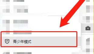 极简浏览器青少年模式在哪开启