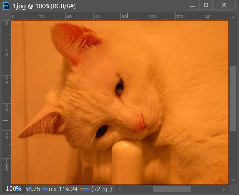 PS2022怎么给偏色的小猫调色